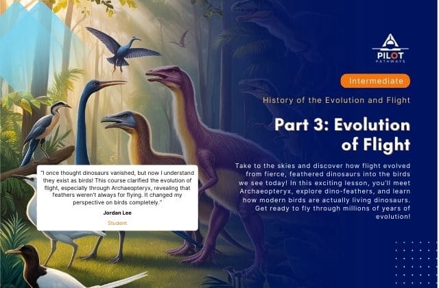 Part 3: Evolution of Flight